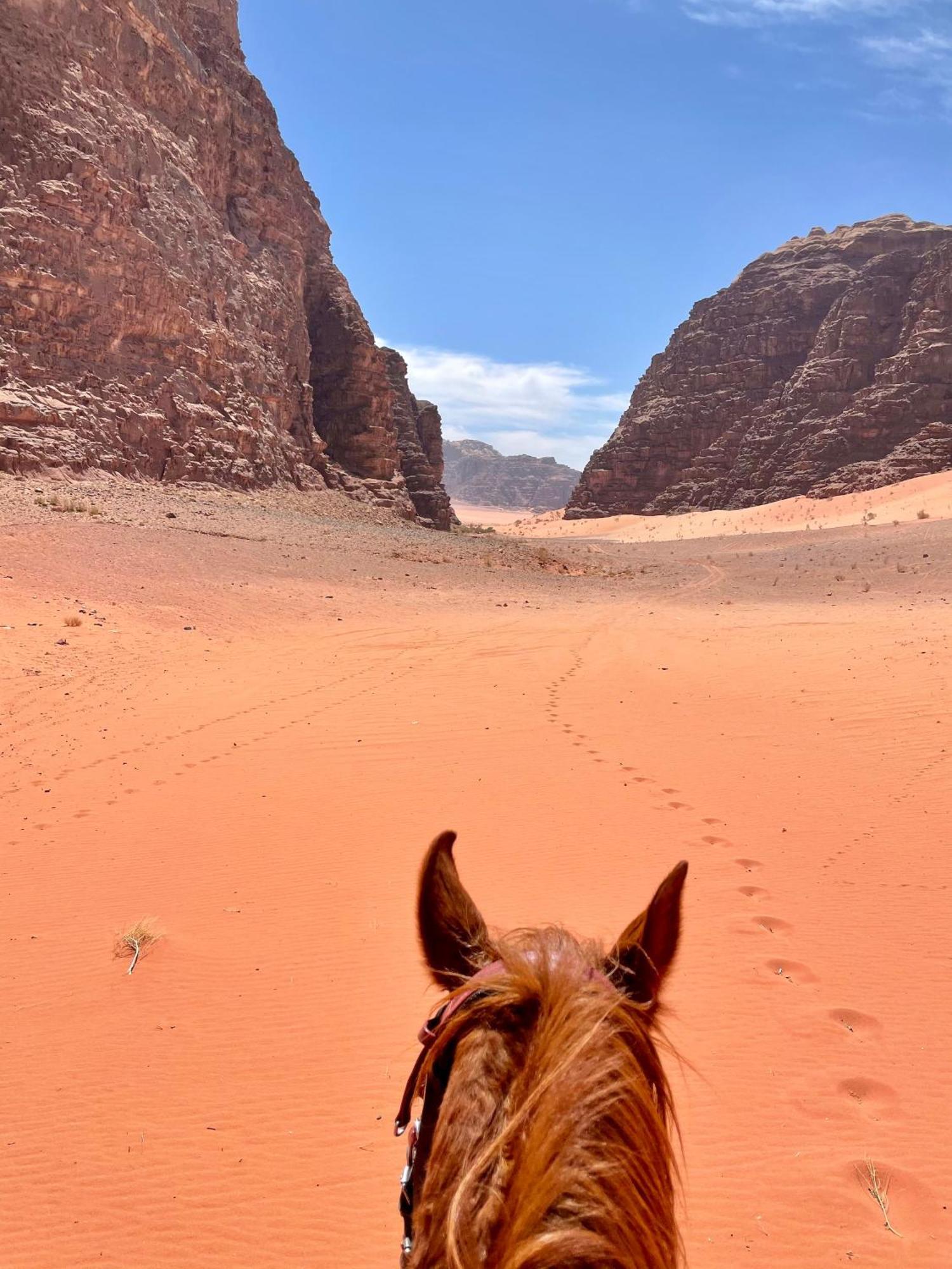 Salameh'S Bedouin Camp Hotel Wadi Rum Exterior photo